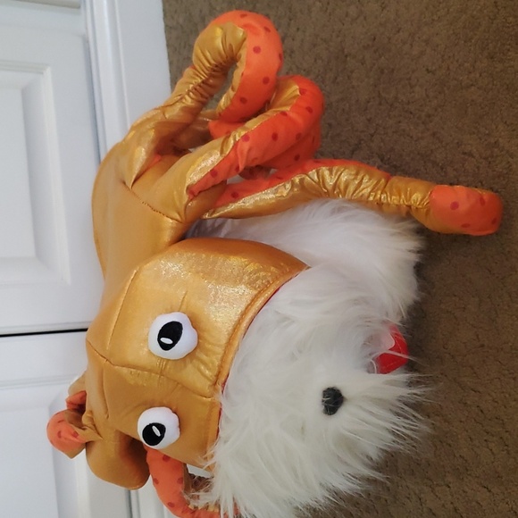Dog Pet OCTOPUS Halloween Costume Size Small Med Large  Orange NWT - Picture 4 of 4